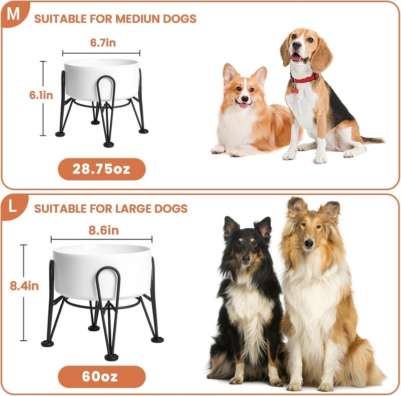 Kitwinney Elevated Dog Bowls, Ceramic Raised Dog Bowl Set with Anti-Slip and Non-Tip Metal Stand, 2 Pack Pet Food and Water Feeding Bowls for Small and Medium Dogs (White,3.6 Cups) - Image 3